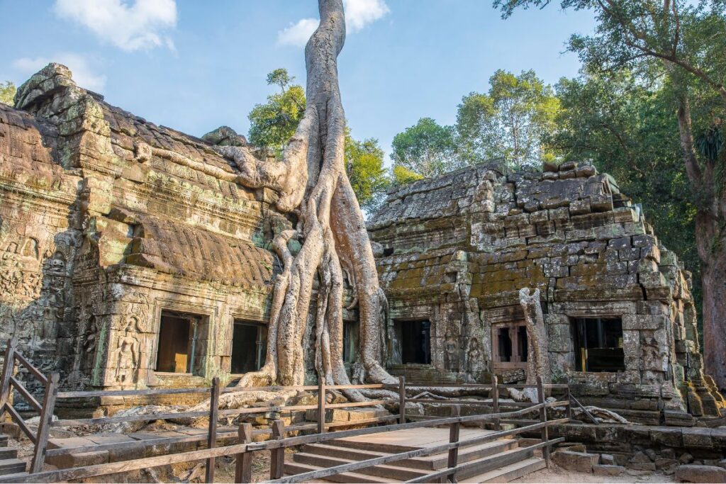 Ta Prohm Temple, Angkor, Cambodia